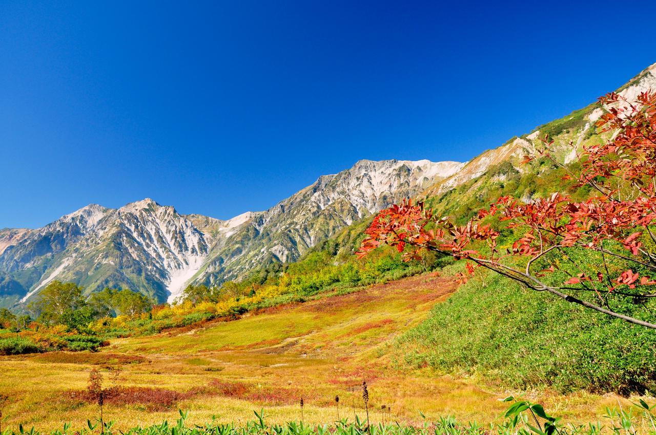 Hotel Hakuba Berghaus Otari Luaran gambar